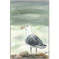 Picture of Sea Gull _GroupedProduct_Rectangle_Portrait_Canvas_Framed_
