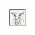 Picture of Frontal Cow Portrait _GroupedProduct_Square_Canvas_Framed_