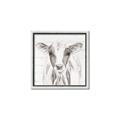 Picture of Frontal Cow Portrait _GroupedProduct_Square_Canvas_Framed_