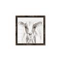 Picture of Frontal Cow Portrait _GroupedProduct_Square_Canvas_Framed_