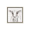 Picture of Frontal Cow Portrait _GroupedProduct_Square_Canvas_Framed_