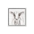 Picture of Frontal Cow Portrait _GroupedProduct_Square_Canvas_Framed_