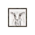 Picture of Frontal Cow Portrait _GroupedProduct_Square_Canvas_Framed_