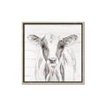 Picture of Frontal Cow Portrait _GroupedProduct_Square_Canvas_Framed_