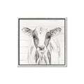 Picture of Frontal Cow Portrait _GroupedProduct_Square_Canvas_Framed_