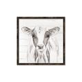 Picture of Frontal Cow Portrait _GroupedProduct_Square_Canvas_Framed_