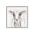 Picture of Frontal Cow Portrait _GroupedProduct_Square_Canvas_Framed_