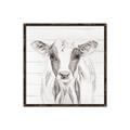 Picture of Frontal Cow Portrait _GroupedProduct_Square_Canvas_Framed_