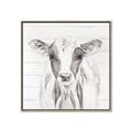 Picture of Frontal Cow Portrait _GroupedProduct_Square_Canvas_Framed_