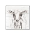 Picture of Frontal Cow Portrait _GroupedProduct_Square_Canvas_Framed_