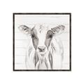 Picture of Frontal Cow Portrait _GroupedProduct_Square_Canvas_Framed_
