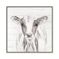 Picture of Frontal Cow Portrait _GroupedProduct_Square_Canvas_Framed_