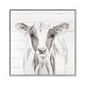 Picture of Frontal Cow Portrait _GroupedProduct_Square_Canvas_Framed_