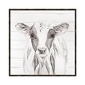 Picture of Frontal Cow Portrait _GroupedProduct_Square_Canvas_Framed_