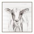 Picture of Frontal Cow Portrait _GroupedProduct_Square_Canvas_Framed_