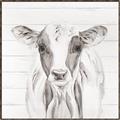 Picture of Frontal Cow Portrait _GroupedProduct_Square_Canvas_Framed_