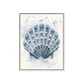 Picture of Blue Seashell _GroupedProduct_Rectangle_Portrait_Canvas_Framed_
