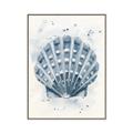 Picture of Blue Seashell _GroupedProduct_Rectangle_Portrait_Canvas_Framed_