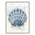 Picture of Blue Seashell _GroupedProduct_Rectangle_Portrait_Canvas_Framed_