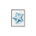 Picture of Teal Starfish _GroupedProduct_Rectangle_Portrait_Canvas_Framed_