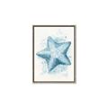 Picture of Teal Starfish _GroupedProduct_Rectangle_Portrait_Canvas_Framed_