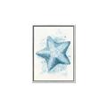 Picture of Teal Starfish _GroupedProduct_Rectangle_Portrait_Canvas_Framed_