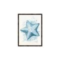 Picture of Teal Starfish _GroupedProduct_Rectangle_Portrait_Canvas_Framed_