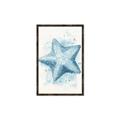 Picture of Teal Starfish _GroupedProduct_Rectangle_Portrait_Canvas_Framed_
