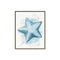 Picture of Teal Starfish _GroupedProduct_Rectangle_Portrait_Canvas_Framed_