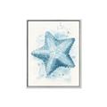 Picture of Teal Starfish _GroupedProduct_Rectangle_Portrait_Canvas_Framed_