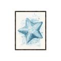 Picture of Teal Starfish _GroupedProduct_Rectangle_Portrait_Canvas_Framed_
