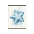 Picture of Teal Starfish _GroupedProduct_Rectangle_Portrait_Canvas_Framed_
