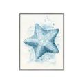 Picture of Teal Starfish _GroupedProduct_Rectangle_Portrait_Canvas_Framed_