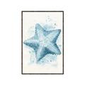 Picture of Teal Starfish _GroupedProduct_Rectangle_Portrait_Canvas_Framed_