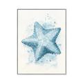 Picture of Teal Starfish _GroupedProduct_Rectangle_Portrait_Canvas_Framed_