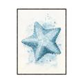 Picture of Teal Starfish _GroupedProduct_Rectangle_Portrait_Canvas_Framed_