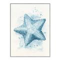 Picture of Teal Starfish _GroupedProduct_Rectangle_Portrait_Canvas_Framed_
