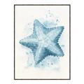 Picture of Teal Starfish _GroupedProduct_Rectangle_Portrait_Canvas_Framed_
