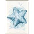 Picture of Teal Starfish _GroupedProduct_Rectangle_Portrait_Canvas_Framed_