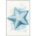 Picture of Teal Starfish _GroupedProduct_Rectangle_Portrait_Canvas_Framed_