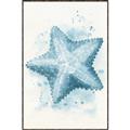 Picture of Teal Starfish _GroupedProduct_Rectangle_Portrait_Canvas_Framed_