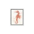 Picture of Coral Seahorse _GroupedProduct_Rectangle_Portrait_Canvas_Framed_