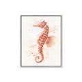 Picture of Coral Seahorse _GroupedProduct_Rectangle_Portrait_Canvas_Framed_