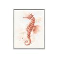Picture of Coral Seahorse _GroupedProduct_Rectangle_Portrait_Canvas_Framed_