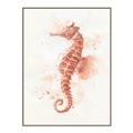 Picture of Coral Seahorse _GroupedProduct_Rectangle_Portrait_Canvas_Framed_