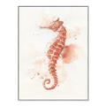 Picture of Coral Seahorse _GroupedProduct_Rectangle_Portrait_Canvas_Framed_