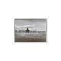 Picture of Horse Roundup _GroupedProduct_Rectangle_Landscape_Canvas_Framed_
