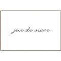 Picture of Joie De Vivre II _GroupedProduct_Rectangle_Landscape_Canvas_Framed_
