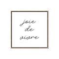 Picture of Joie De Vivre I  _GroupedProduct_Square_Canvas_Framed_