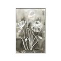 Picture of Brown & White Flower I  _GroupedProduct_Rectangle_Portrait_Canvas_Framed_